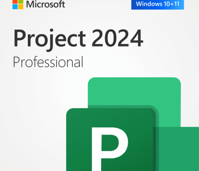 Project Professional 2024