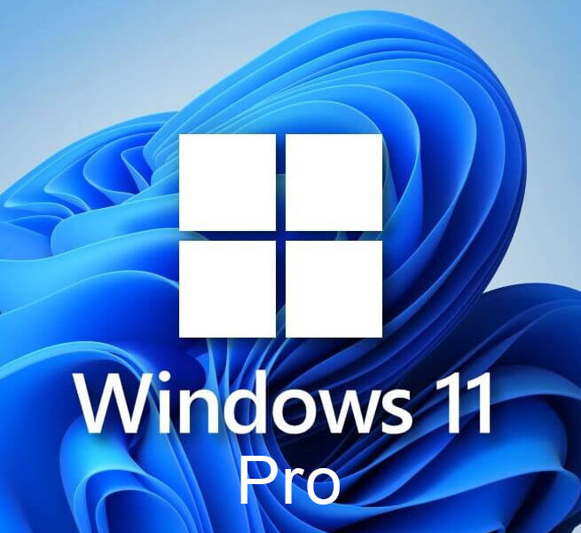 Windows 11 Professional